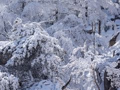 -崂山巨峰游览区