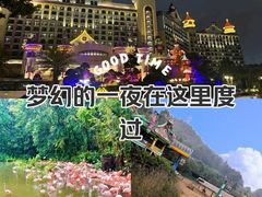 -广州长隆欢乐世界