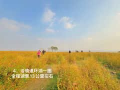 -阳澄湖半岛旅游度假区