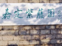 -嘉定紫藤园