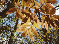 -叠溪松坪沟景区