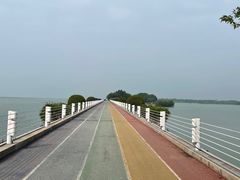 -贡湖湾湿地公园