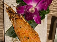 -酒井酱子·深夜食堂(东城汇店)