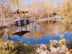 -武汉园博园(武汉自然博物馆)