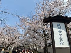 -醍醐寺