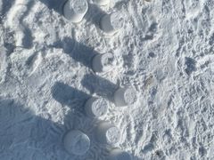 -绿野森林乐园冰雪季