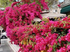 -珠江夜游西堤码头