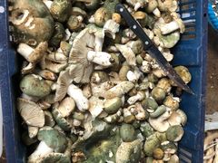 -双喜农庄·菌香园(安居家园店)