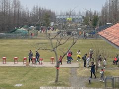 -前小桔亲子创意农场·草莓采摘·露营烧烤