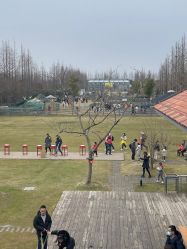 -前小桔亲子创意农场·草莓采摘·露营烧烤