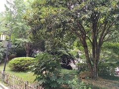 -岳麓山风景名胜区