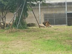-上方山森林动物世界
