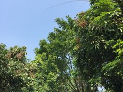 -茂德公草堂