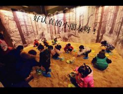 -恐龙探索乐园(磁器口店)