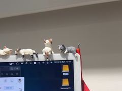 -海马体照相馆(正佳广场店)