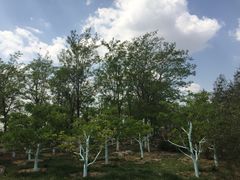 -南开大学滨海学院