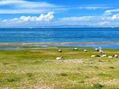 -青海湖国家重点风景名胜区