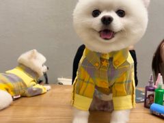 -樱桃家的宠物店(君安花园店)