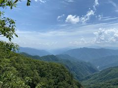 -牛背梁国家森林公园