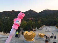 -龙口南山旅游景区