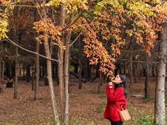 -长春市南湖公园