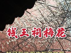 -钱王祠