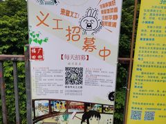-东莞市大岭山森林公园