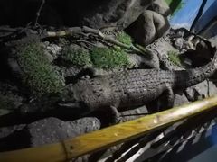 -厦门海底世界