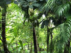 -三亚湾海居铂尔曼度假酒店