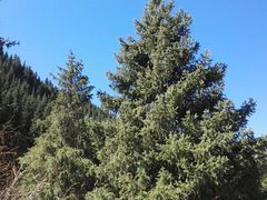 -迎宾楼(解放西街店)