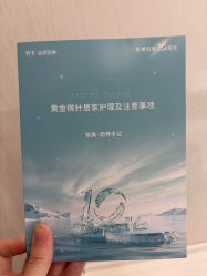 -智美品质医美