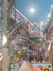 -卡通尼·Safari非洲探索乐园·生日会(金桥国际商业广场店)