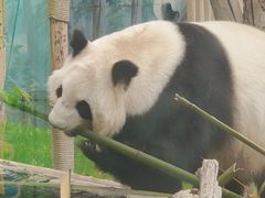 -鄂尔多斯野生动物园