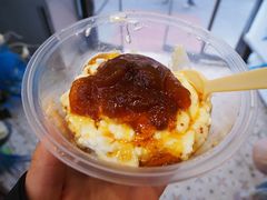 -和田冰蕊酸奶粽子冰水王