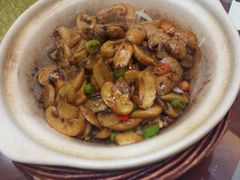 -李家猪蹄融合菜馆(河松街店)