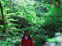 -大岭沟猕猴桃谷风景区