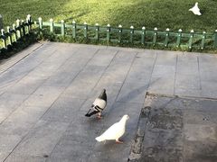 -西安曲江寒窑遗址公园