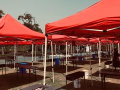 -春花秋色城市公园