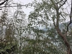 -白帝城·瞿塘峡景区