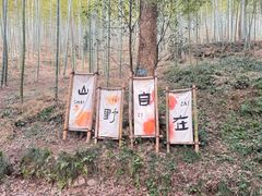 -东明山森林公园