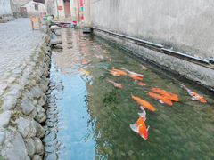 -前童古镇