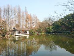 -杭州植物园