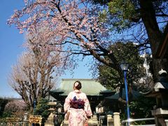 -东京浅草和服体验江户和装工房雅(浅草本店)