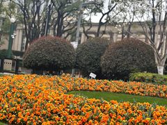-莲花茶都(莲花路店)