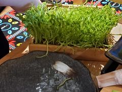 -椰夫人·养生椰子鸡(金沙洲永旺店)