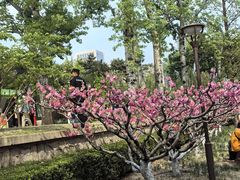 -海棠花溪(元大都城垣遗址公园)