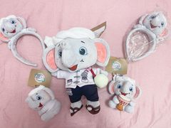 -西双版纳傣族园