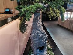 -马家斑.鲜鱼火锅(松湖万科店)