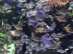 -成都浩海立方海洋公园