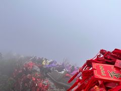 -老君山风景名胜区